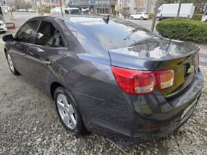 WhatsApp Image 2026-01-12 at 08.34.43