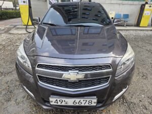 WhatsApp Image 2026-01-12 at 08.34.47