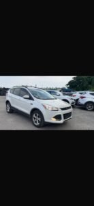 WhatsApp Image 2026-01-14 at 11.06.28 PM