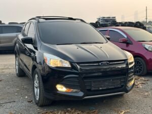 WhatsApp Image 2026-01-14 at 11.10.43 PM (1)