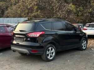 WhatsApp Image 2026-01-14 at 11.10.47 PM