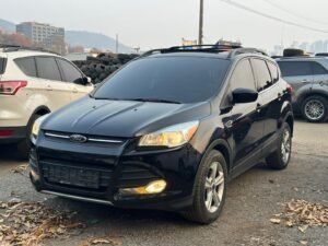 WhatsApp Image 2026-01-14 at 11.10.50 PM - Copy